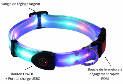 Notre ensemble Collier + Laisse Lumious