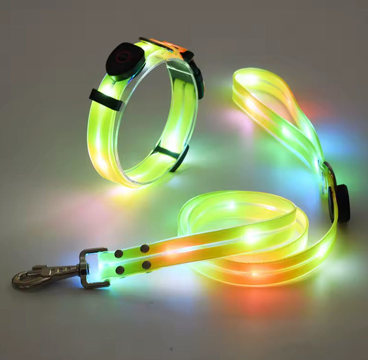 Notre ensemble Collier + Laisse Lumious