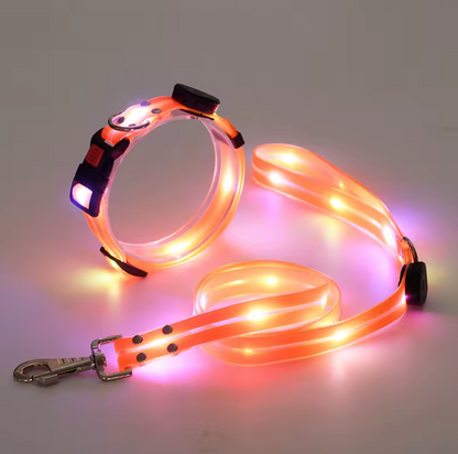 Notre ensemble Collier + Laisse Lumious